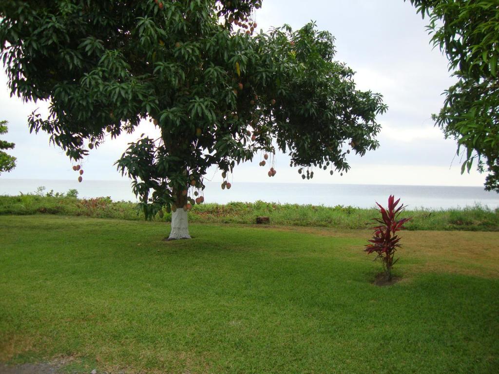 By The Sea Vacation Home And Villa Port Antonio Habitación foto